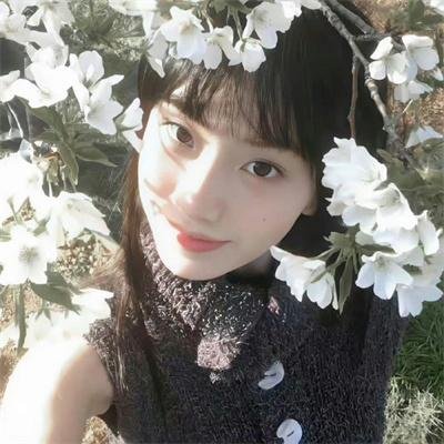 异界行商法则·动态漫